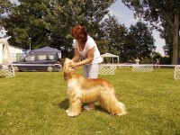 /album/boa-vistas-gallery/a12-015-jpg/